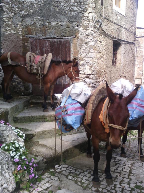 Rupe Antica Bed & Breakfast Artena Exterior photo